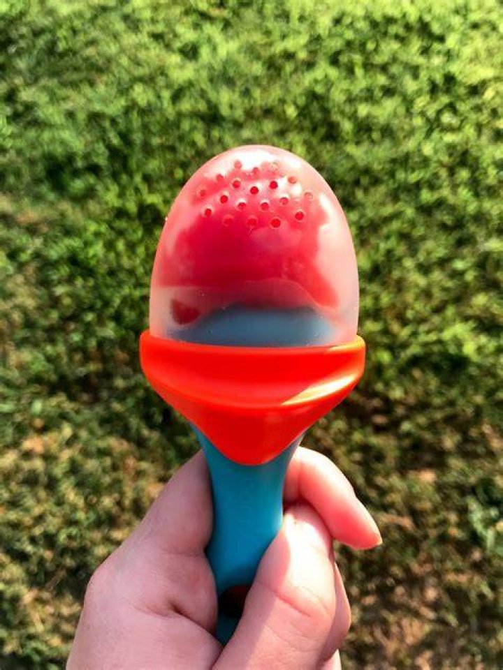 What age can you use a mesh feeder?