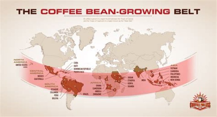 What altitudinal zone is coffee grown?