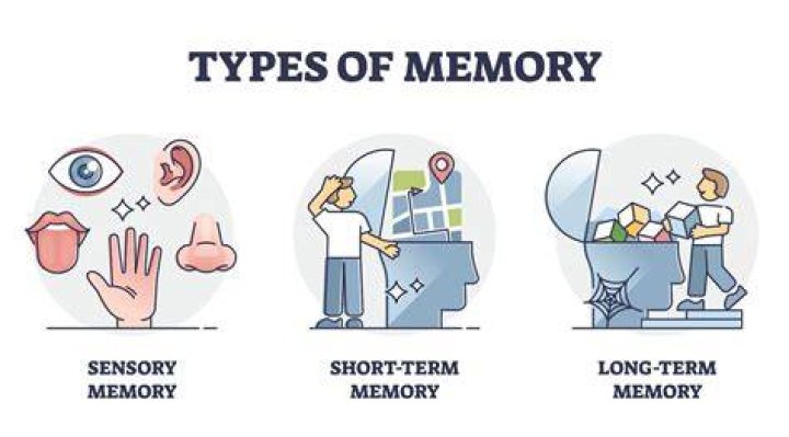 What are 3 memory strategies?