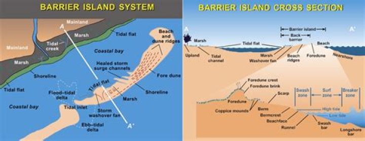 What are barrier islands caused by?