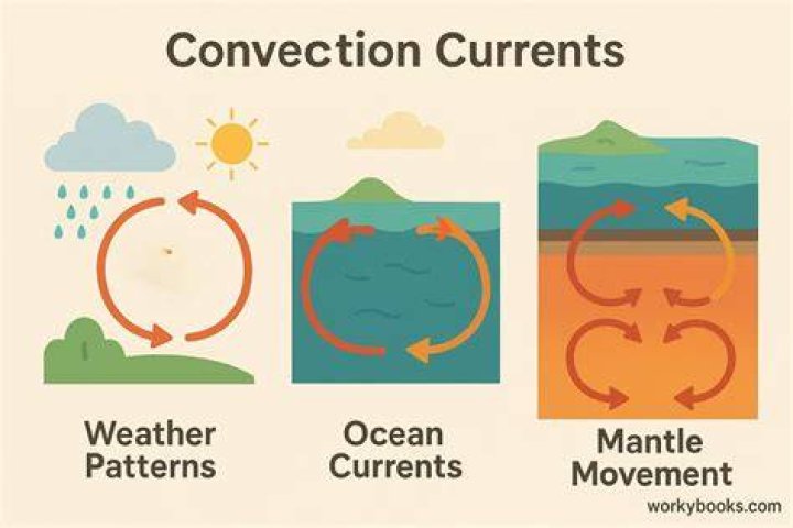 What are currents food?