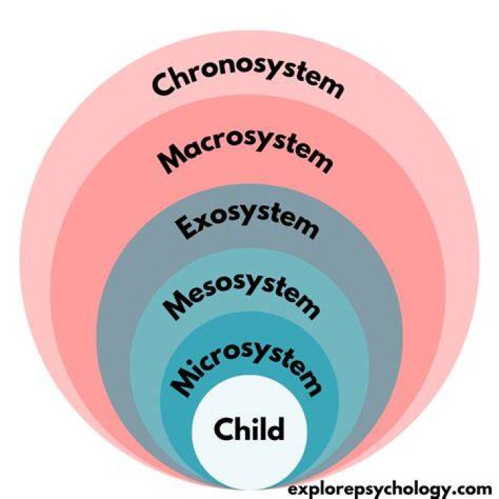 What are examples of Microsystem