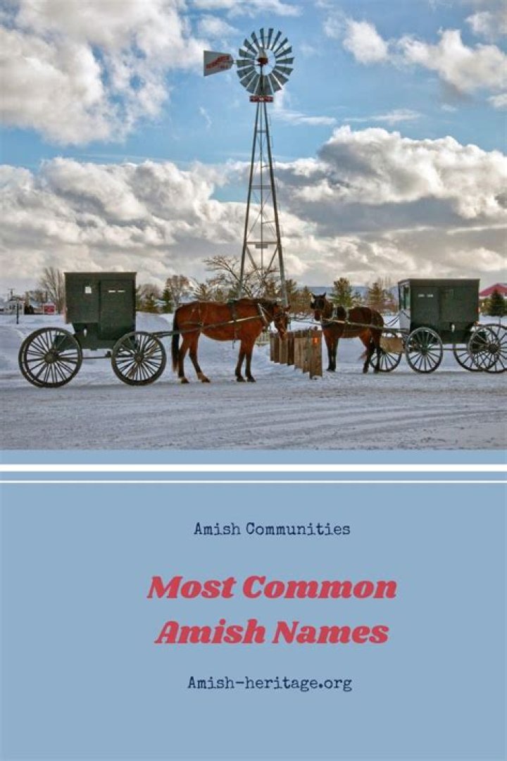 What are good Amish names?