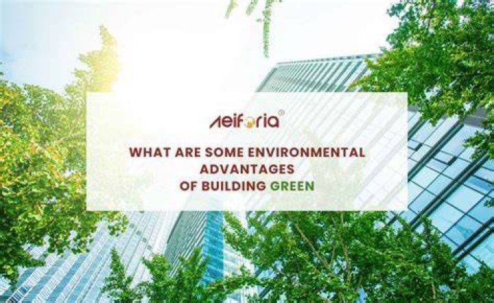 What are some environmental advantages of building green?