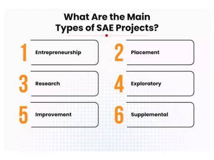 What are the 4 types of SAE projects?