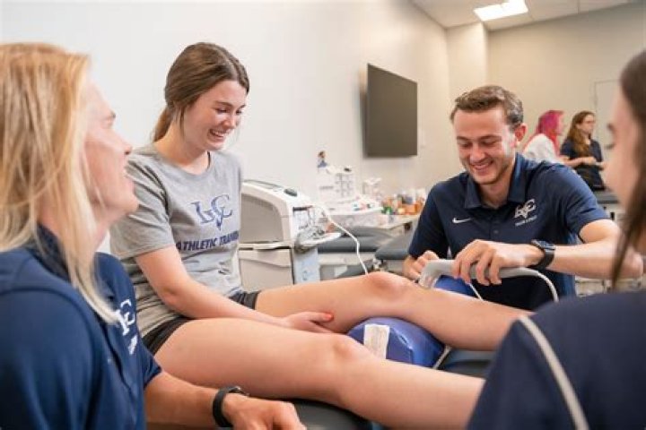 What are the 5 major domains of athletic training?