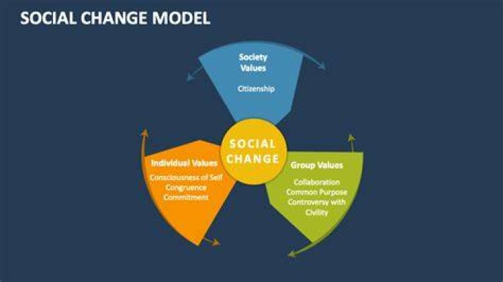 What are the 7 C’s of the social change model?