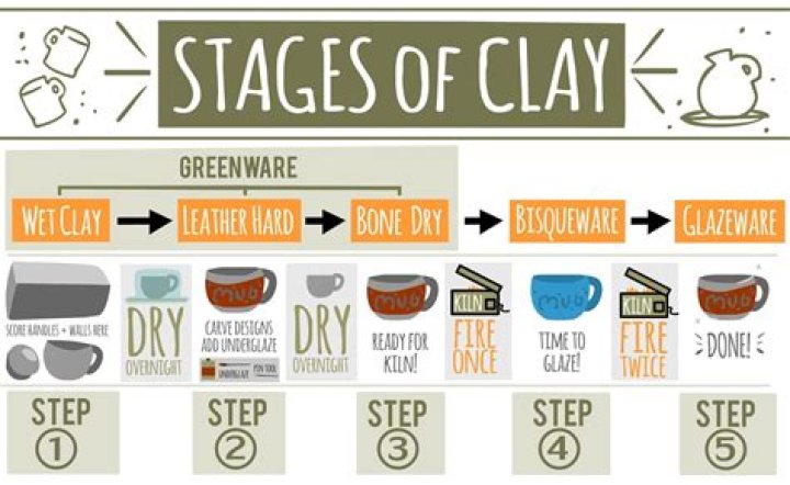 What are the 7 stages of clay