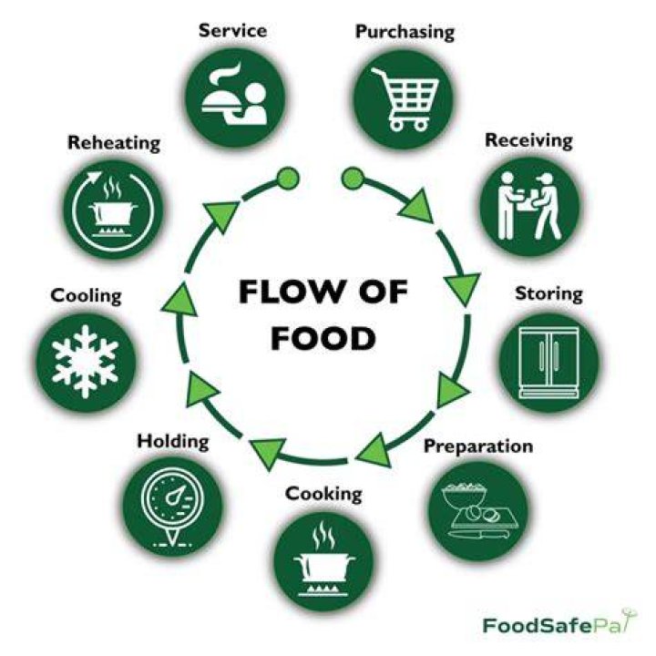 What are the 8 steps in the flow of food