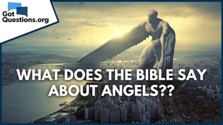 What are the angels on evangelion?