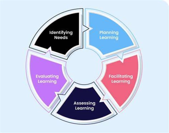 What are the four steps of the learning cycle SDV quizlet?