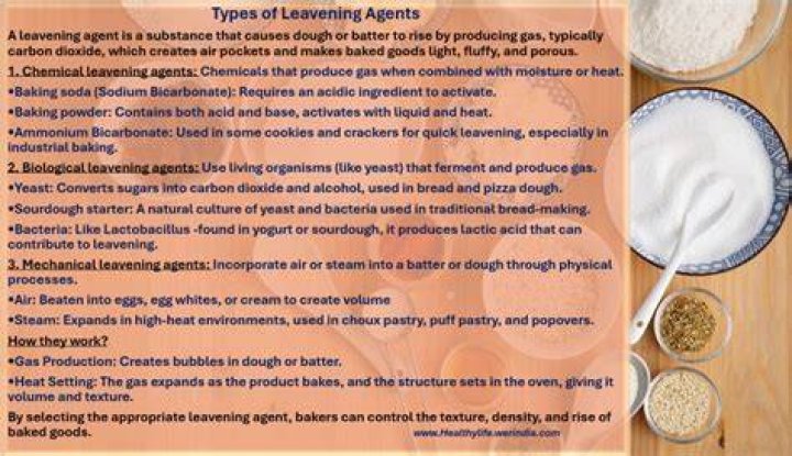 What are the four types of leavening gases?