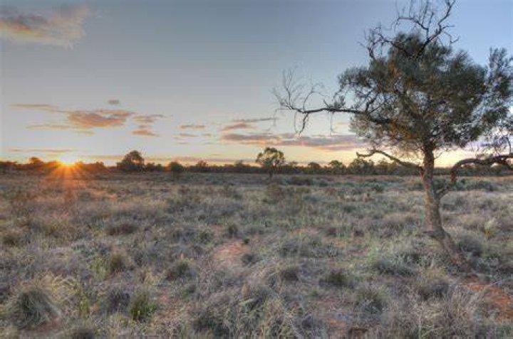 What are the grasslands of Australia called?