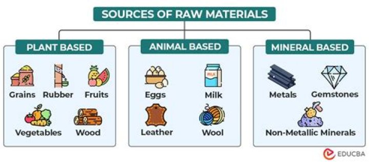 What are the raw materials and products of respiration?