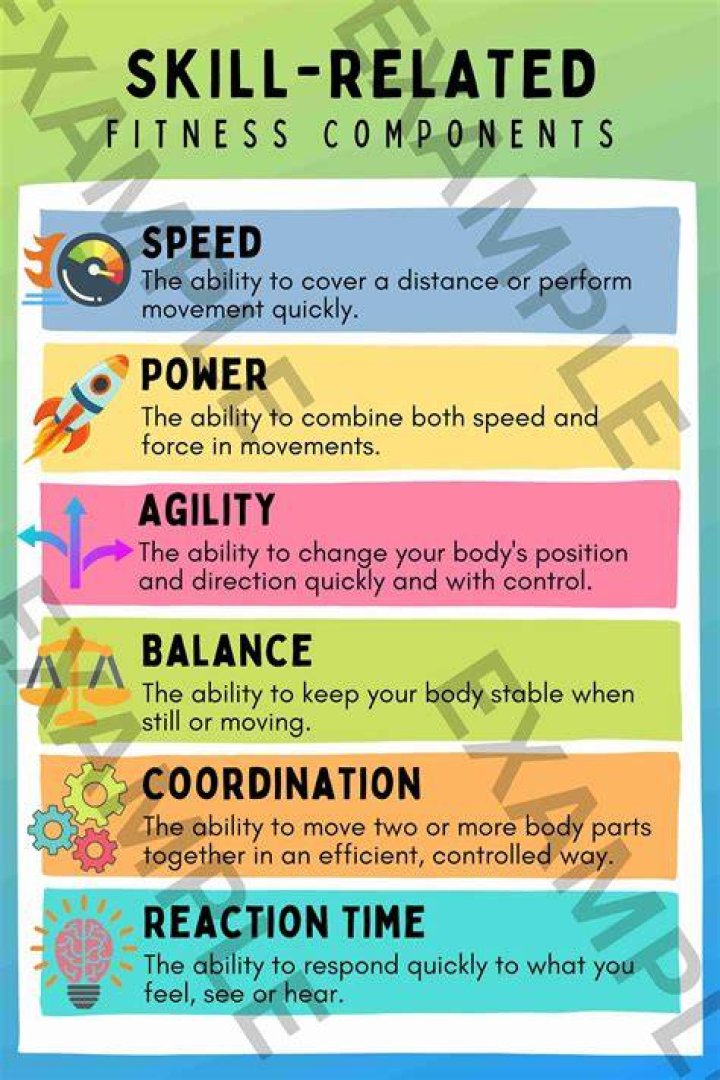 What are the seven components of skill related fitness?