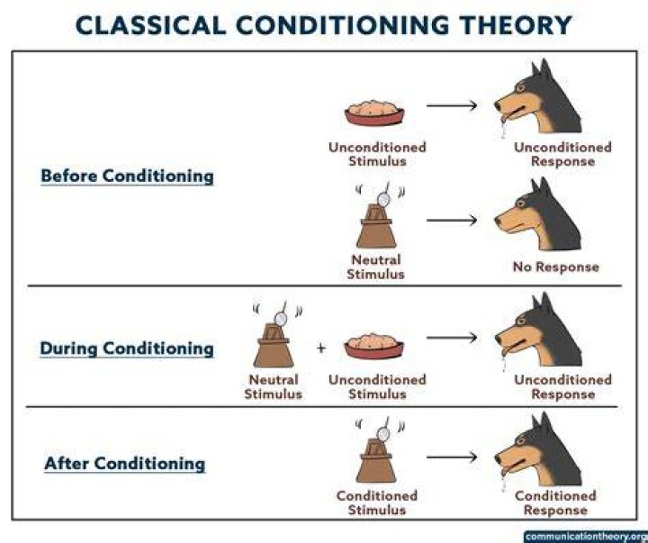 What are the steps in classical conditioning?