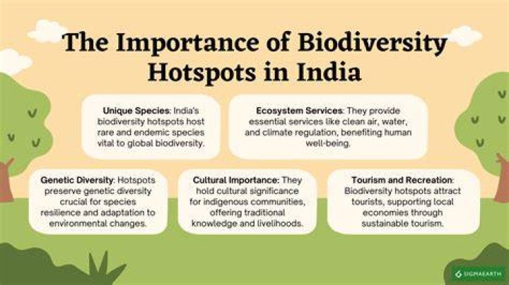 What are the two criteria for designation as a biodiversity hotspot for a habitat to be declared a biodiversity hotspot it must either or?
