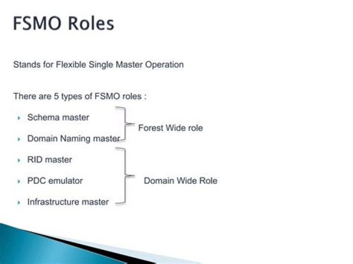 What are the types Fsmo roles?