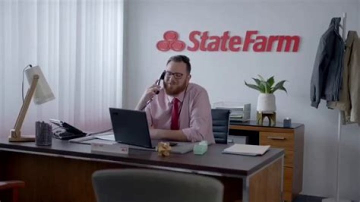 What are they saying in she shed commercial?