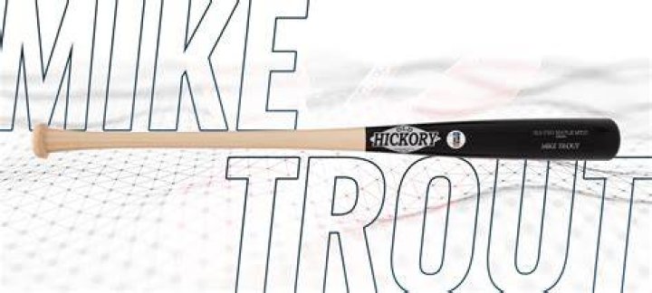 What bat does Mike Trout use?