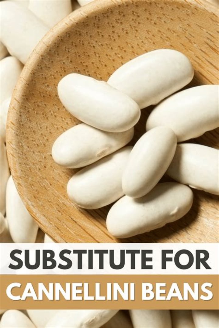 What can I use as a substitute for cannellini beans?