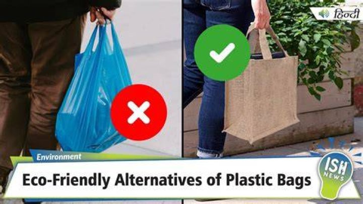 What can I use instead of plastic freezer bags?