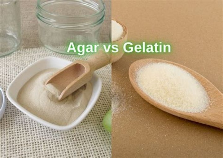 What can you use instead of gelatin?