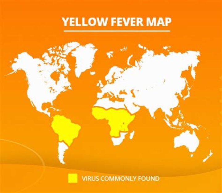 What chapter does Mattie get yellow fever?