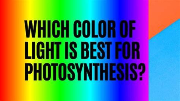 What color of light is best for photosynthesis?
