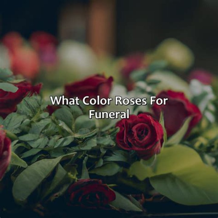 What Colour rose for a funeral?