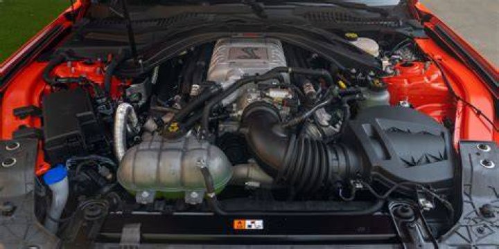 What company makes Predator engines