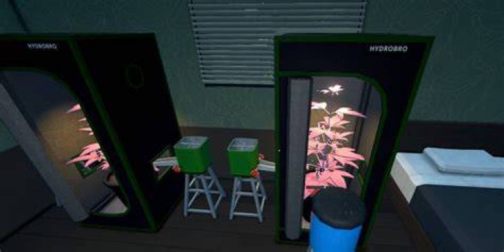 What degree does a botanist need?