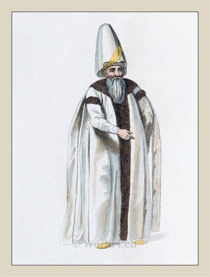 What did a vizier wear?