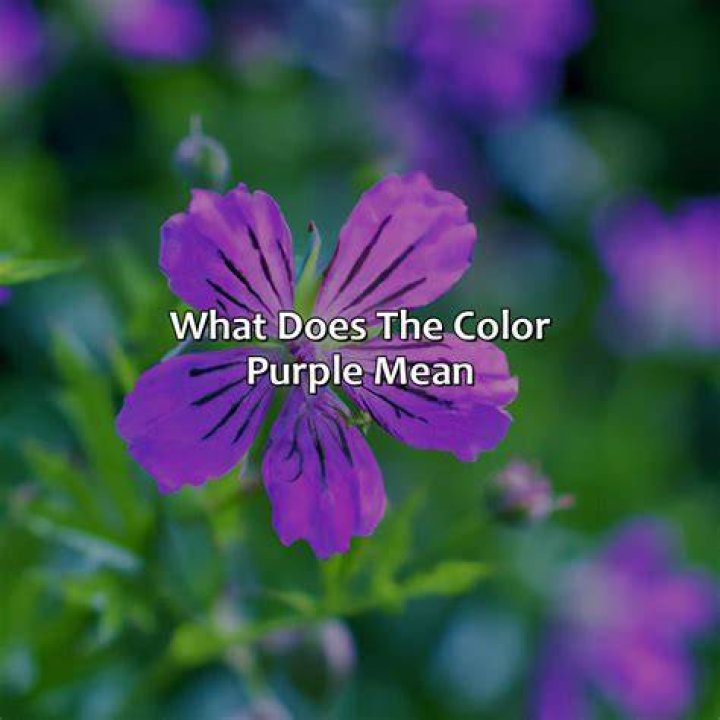 What did Purple Rain actually mean?