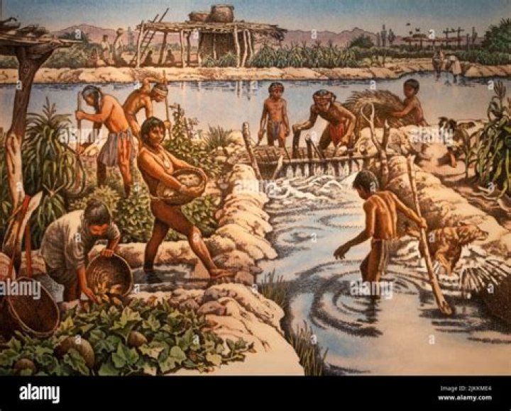 What did the Hohokam use canals for?