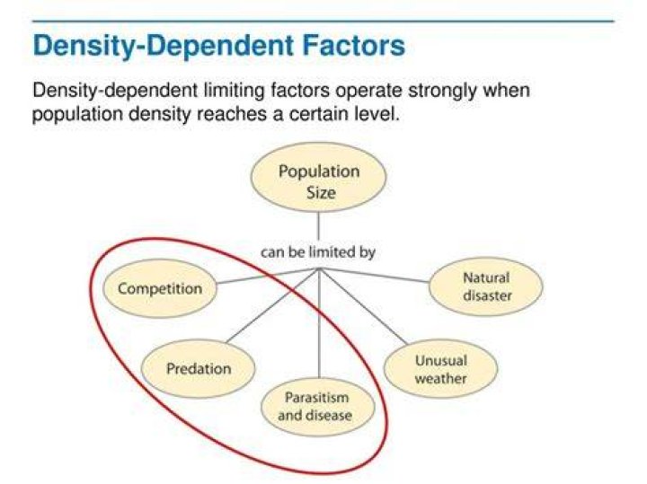 What do density dependent factors operate most strongly?
