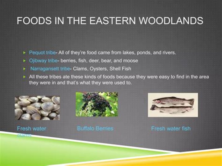 What do Eastern Woodlands people eat?