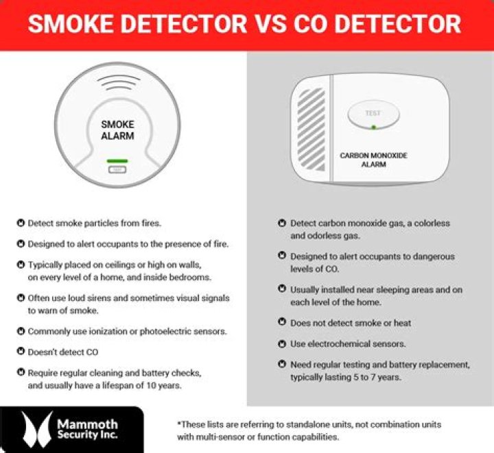 What do feature detectors detect?
