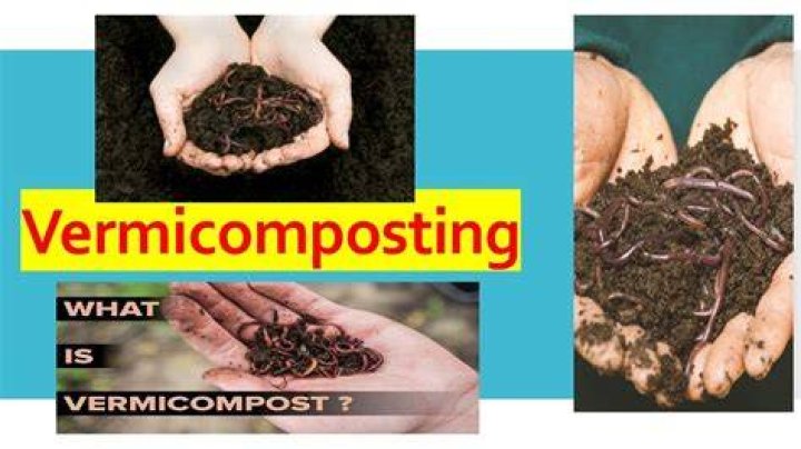 What do you mean by vermicomposting toilet?