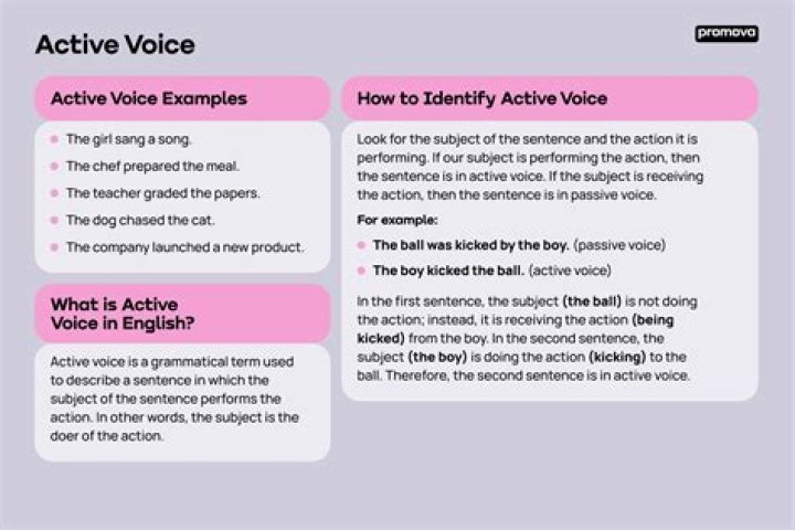 What does active undisbursed mean?