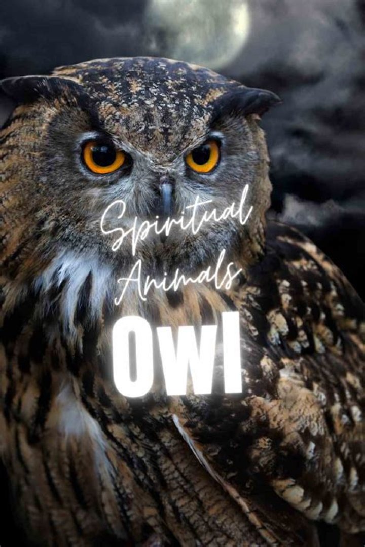 What does an owl mean as a spirit animal?