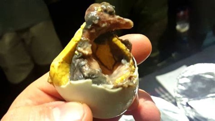 What does balut taste like?