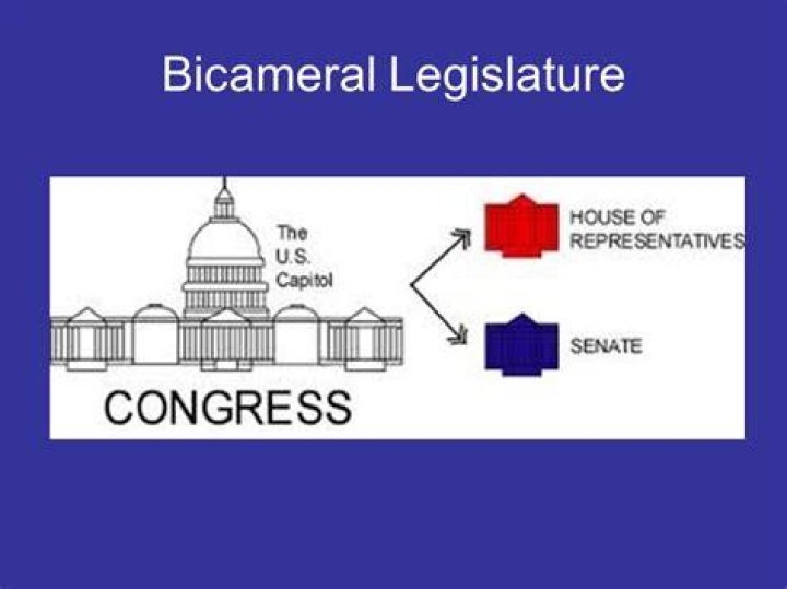 What does bicameral mean in government?