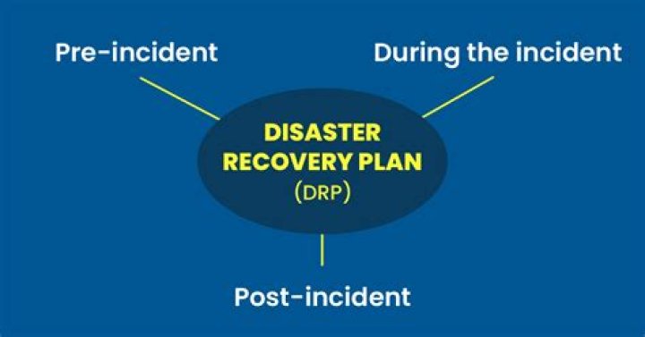 What does DRP mean?