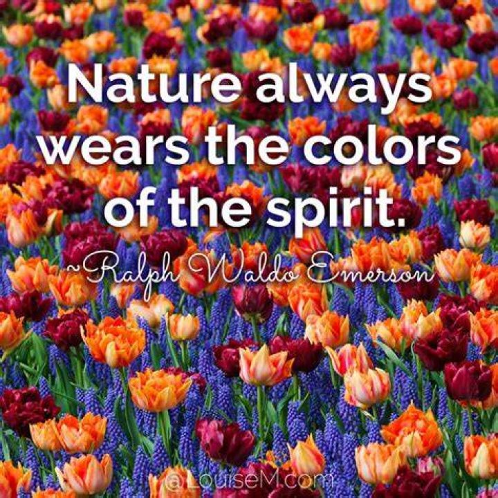 What does Emerson mean when he says that Nature always wears the colors of the spirit?