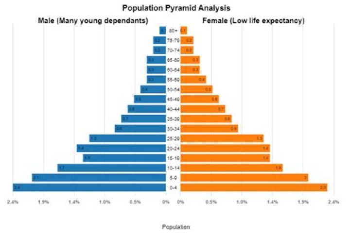 What does it mean if a nation has a high dependency?
