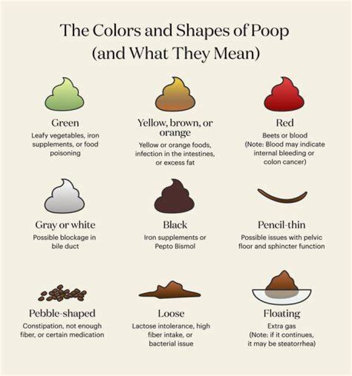 What does it mean if my poop smells like ammonia?