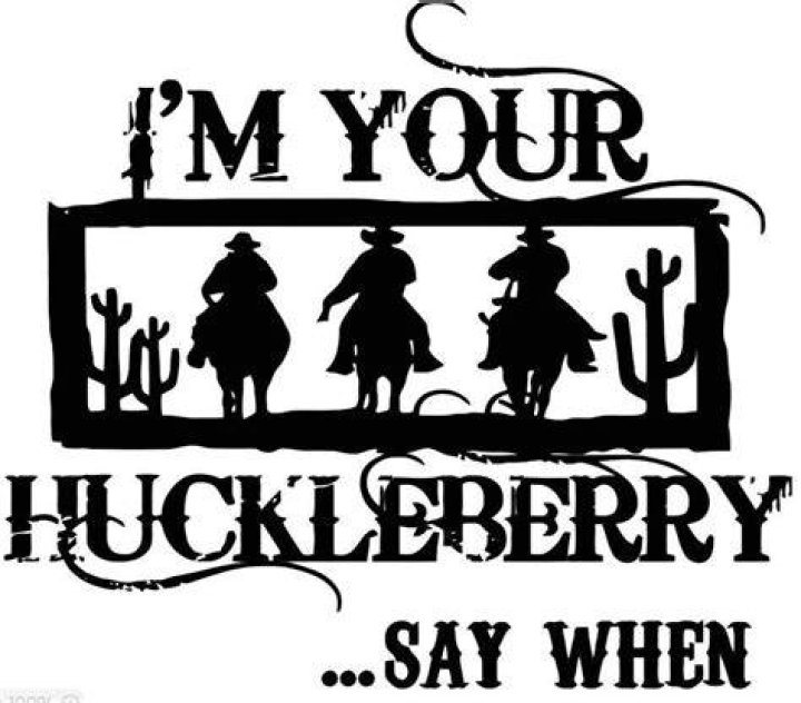 What does it mean to be my huckleberry?