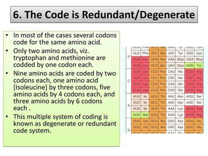 What does it mean when a genetic code is redundant?