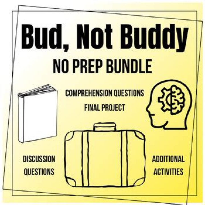 What does rule 29 mean in Bud Not Buddy?